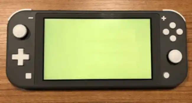 Reparación Nintendo Switch Lite Don Benito - Consola portátil